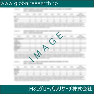 グローバルリサーチ調査資料のイメージ
